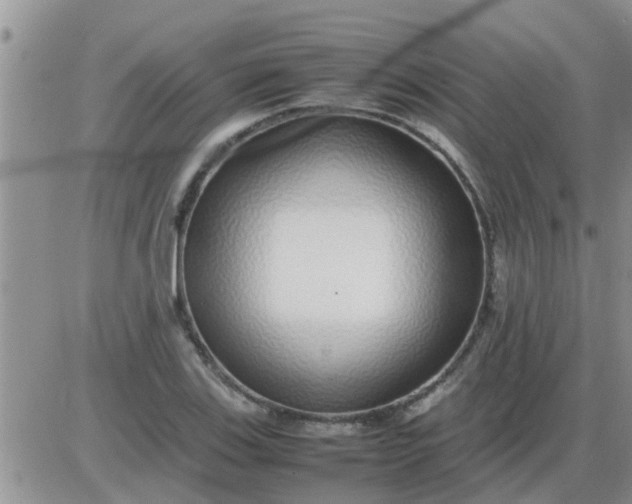 X0000085311123200703231917