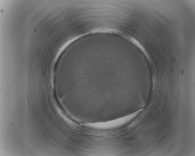 X0000085311124200703231917