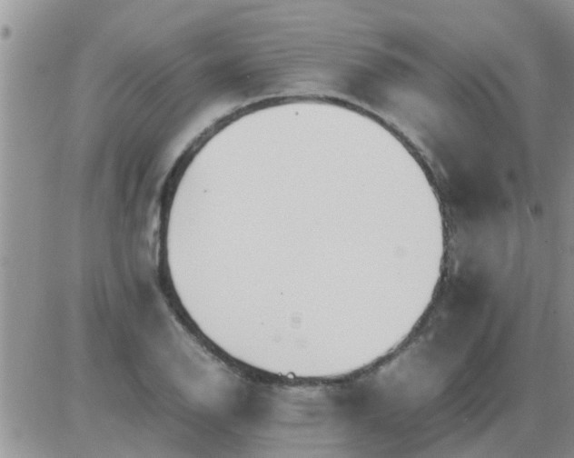 X0000085311126200703231917