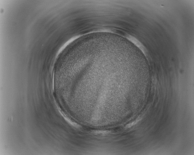 X0000085311127200703231917