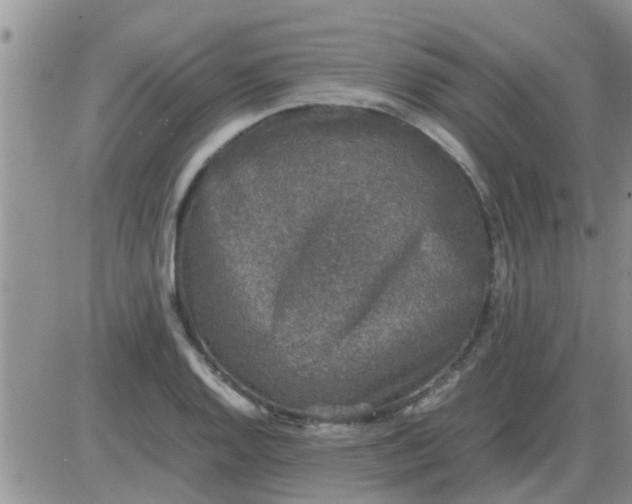 X0000085311128200703231917