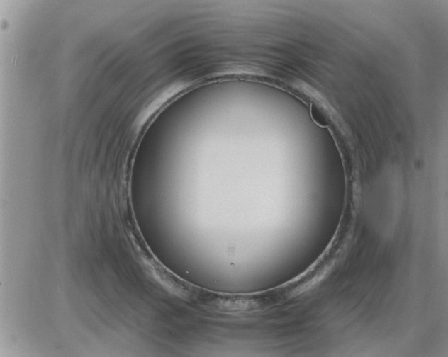 X0000085311129200703231917