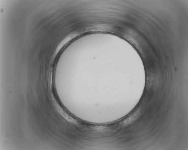 X0000085311130200703231917