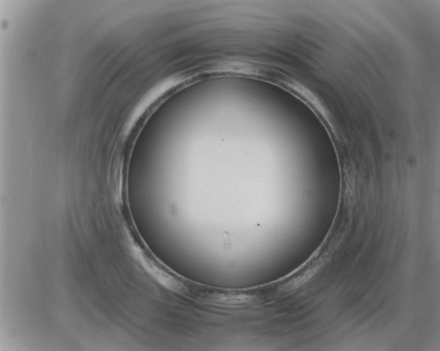 X0000085311131200703231917