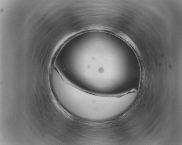 X0000085311132200703231917