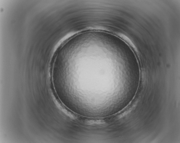 X0000085311133200703231917