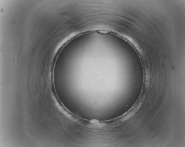 X0000085311134200703231917