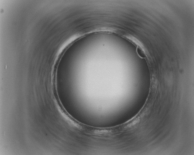 X0000085311135200703231917