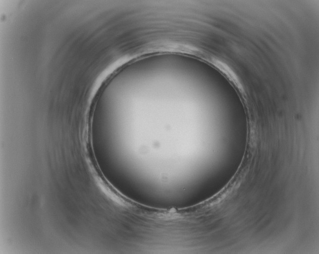 X0000085311136200703231917