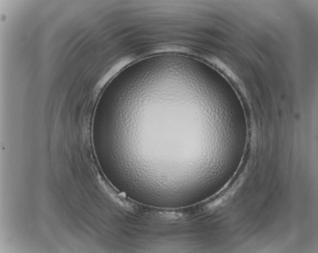 X0000085311137200703231917