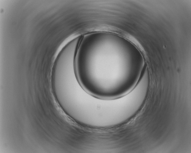 X0000085311138200703231917