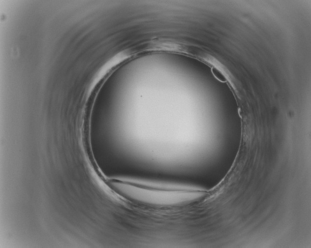 X0000085311139200703231917