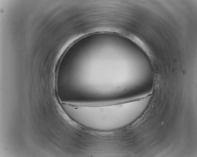 X0000085311140200703231917