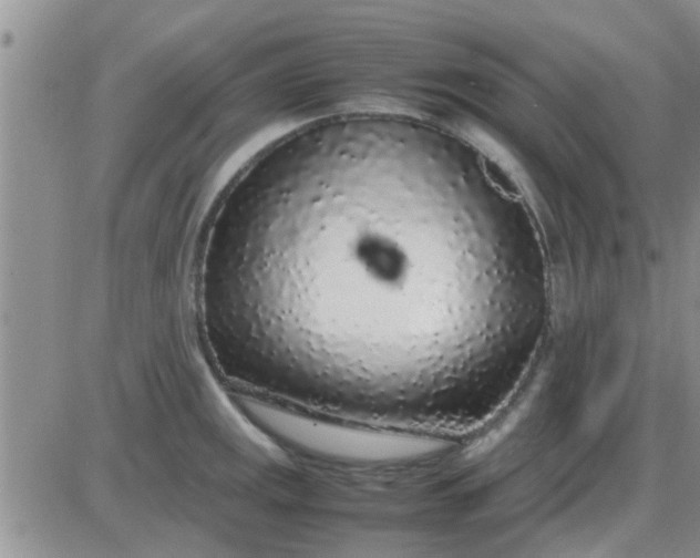 X0000085311141200703231917