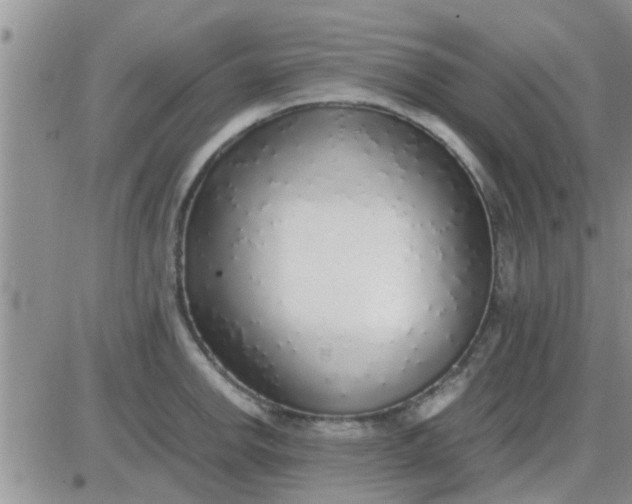 X0000085311142200703231917