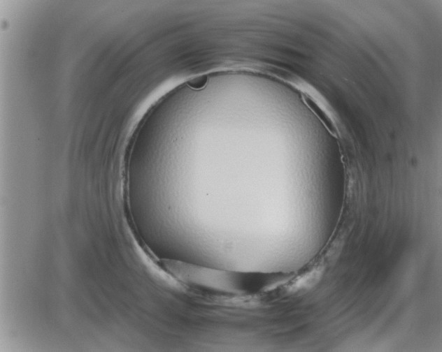 X0000085311143200703231917