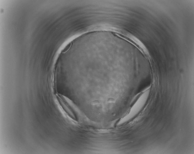 X0000085311144200703231917