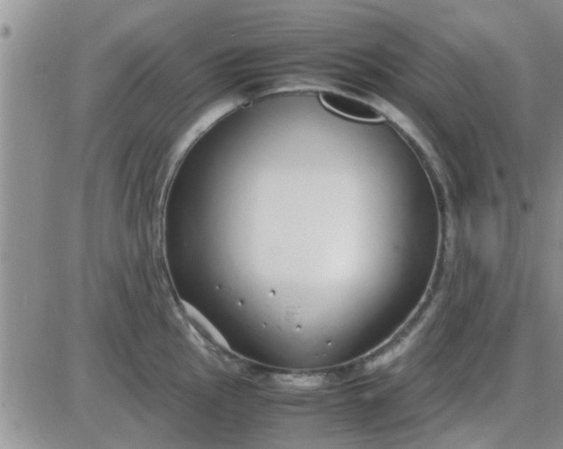 X0000085311145200703231917