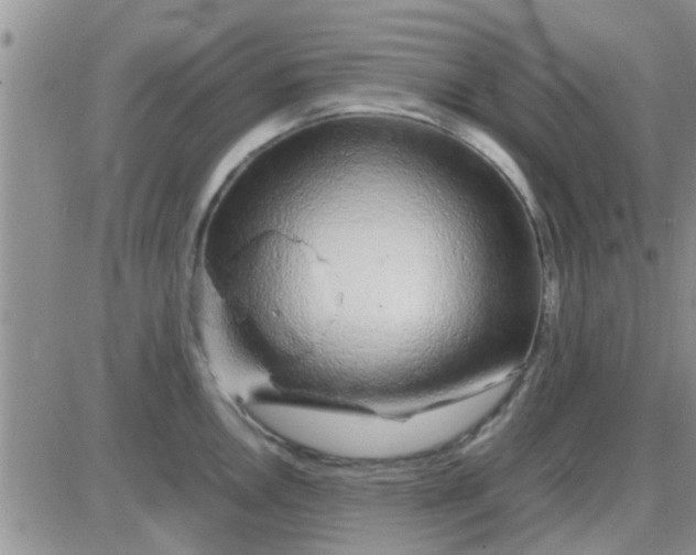 X0000085311146200703231917