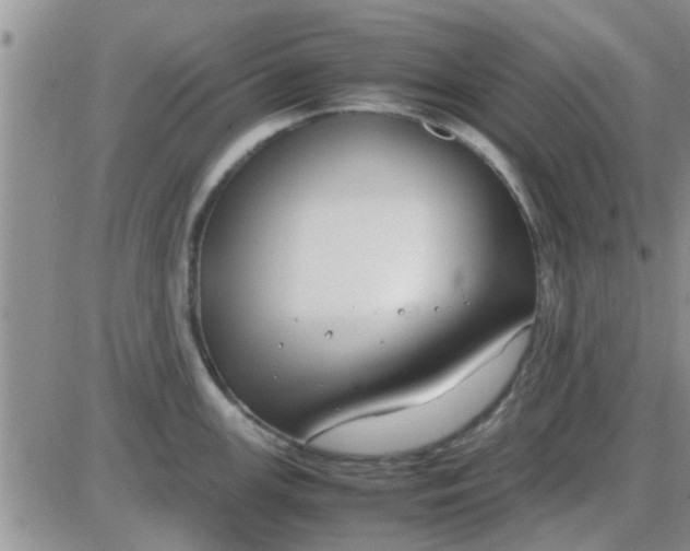 X0000085311147200703231917