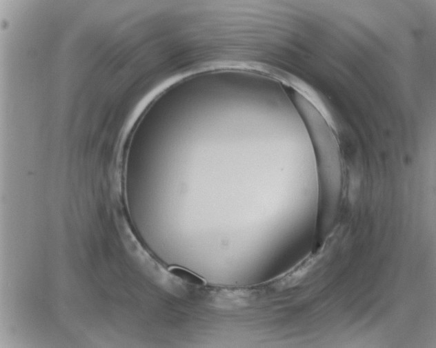 X0000085311148200703231917