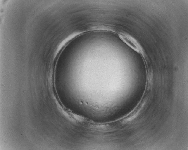 X0000085311149200703231917