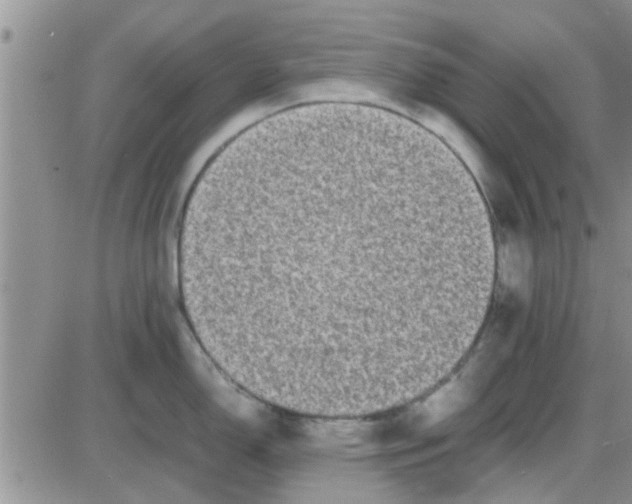 X0000085311150200703231917