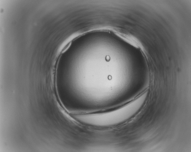 X0000085311151200703231917