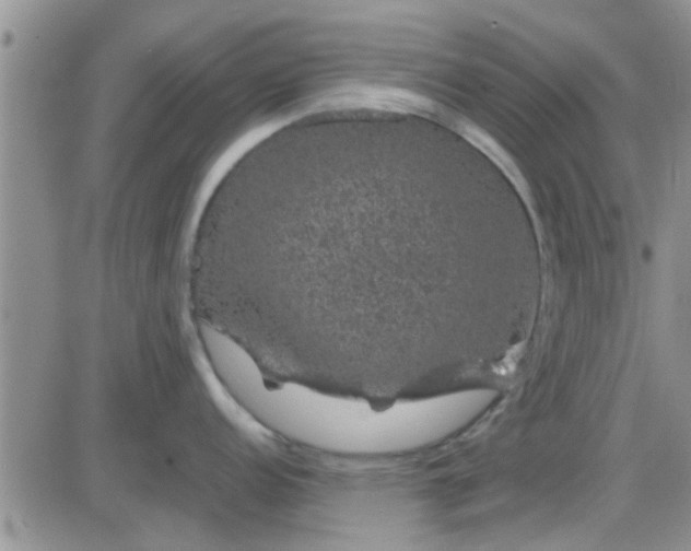 X0000085311152200703231917