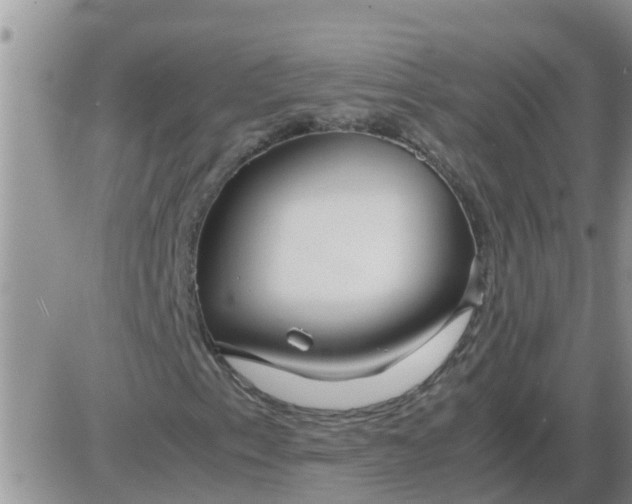 X0000085311153200703231916