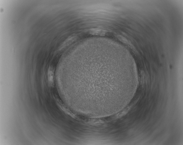 X0000085311154200703231916