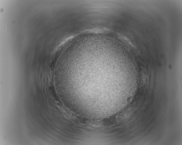 X0000085311158200703231916