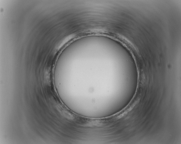 X0000085311162200703231916