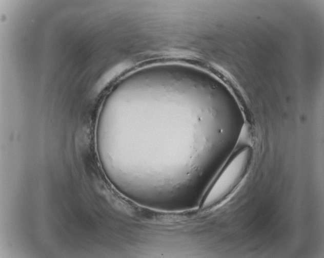 X0000085311163200703231916