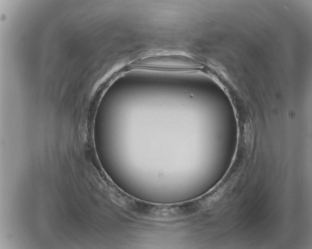 X0000085311165200703231916