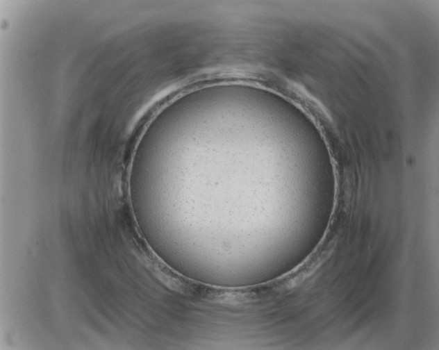 X0000085311166200703231916