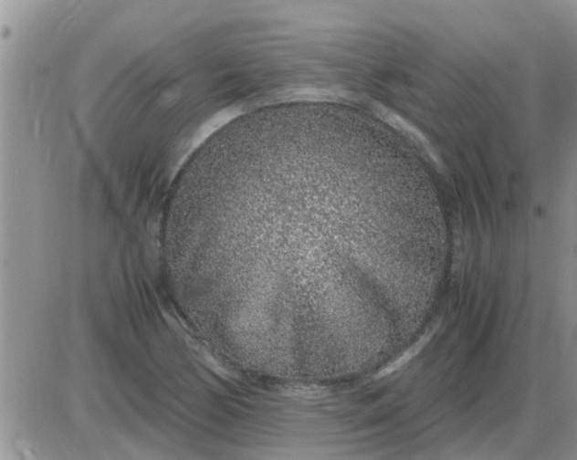 X0000085311170200703231916