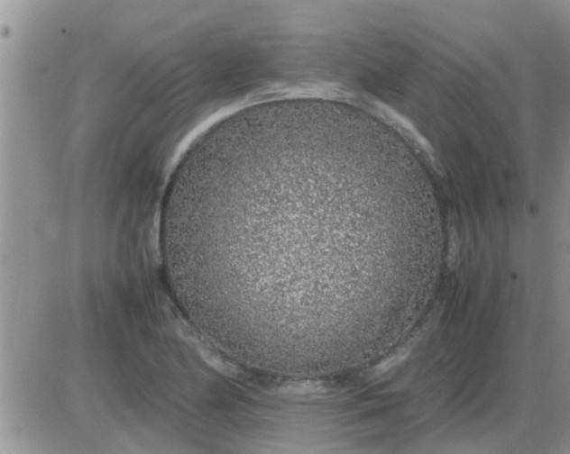 X0000085311174200703231916