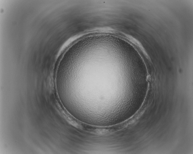 X0000085311176200703231916