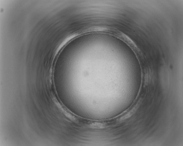 X0000085311178200703231916