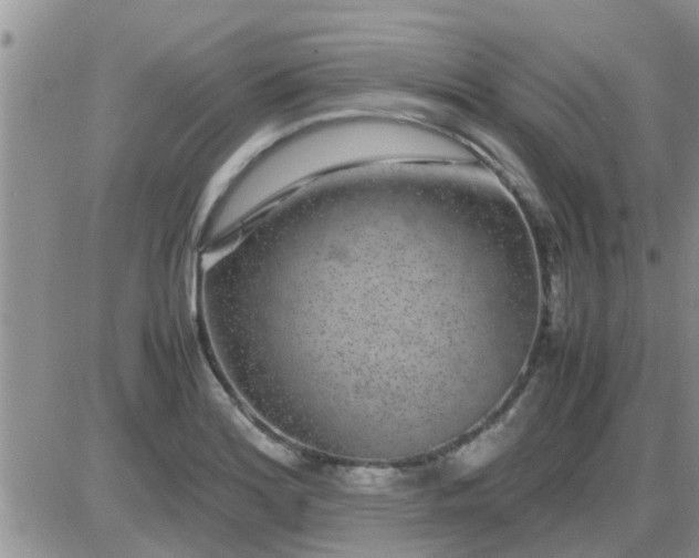 X0000085311180200703231916