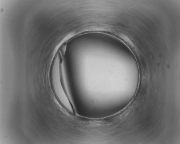 X0000085311181200703231916