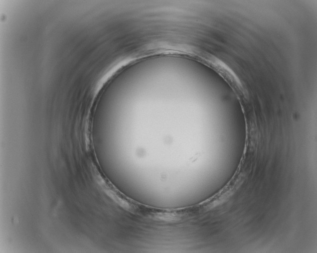 X0000085311182200703231916