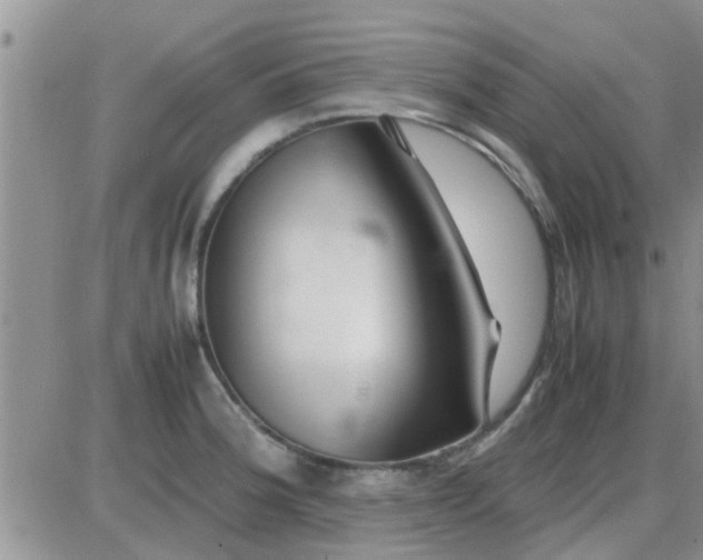 X0000085311188200703231916