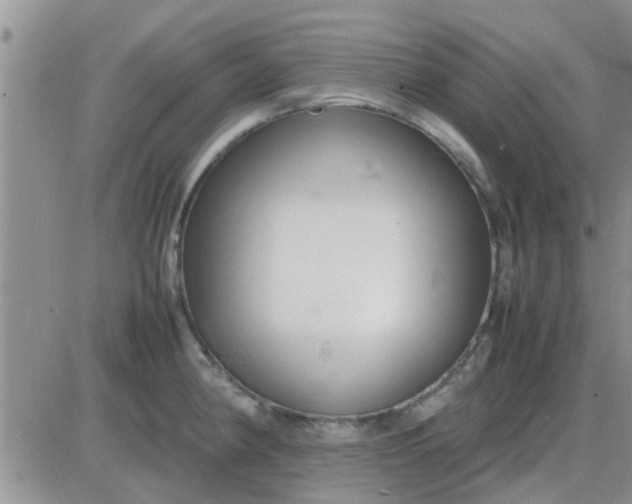 X0000085311190200703231916