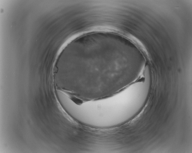 X0000085311192200703231916