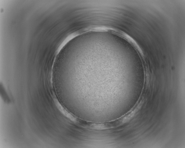 X0000085311194200703231916