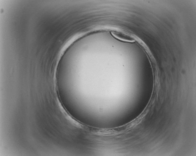 X0000085311199200703231916