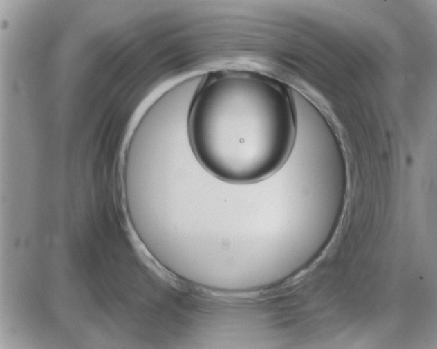 X0000085311200200703231916