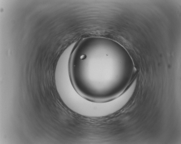 X0000085311202200703231915